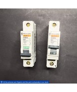 Merlin Gerin Multi 9 C60N B20 1-Pole Circuit Breaker 24052 Schneider Lot... - $34.26 CAD