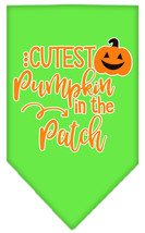 Cutest Pumpkin in the Patch Screen Print Bandana Lime Green Size Large - £8.66 GBP