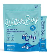 Waterboy Weekend Recovery | 3,200mg Electrolyte Powder Packets | Ginger + - $1,540.49 MXN