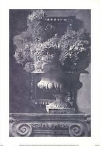 ESTEBAN CHAVEZ Hydrangea Urn 32&quot; x 22&quot; Offset Lithograph 1997 Photograph... - $1,217.59 MXN