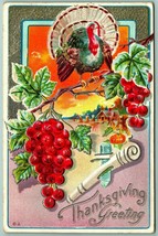 Thanksgiving Greeting Turkey Grapevine Embossed 1910 DB Postcard I3 - £7.70 GBP