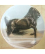 Cabinet Knobs Knob Arabian @Pretty@ HORSE - €4,57 EUR