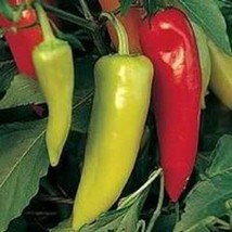 300 pcs Hungarian Hot Wax Pepper Capsicum Annuum Vegetable Seeds - £7.07 GBP