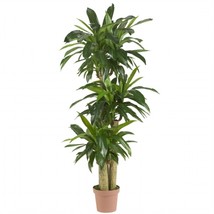 Nearly Natural 6584 Corn Stalk Dranaena Silk Plant -Real Touch - £170.68 GBP