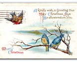 Merry Christmas Blue Birds Winter Landscape Poem Embossed DB Postcard U17 - $2.63