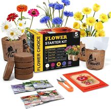 Indoor Daisy Garden Starter Kit - Complete Growing Set with Tools &amp; Jute... - $42.52