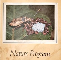 1963 Insects Natures Architects Booklet 2nd Edition Audubon Nature Progr... - €21,60 EUR