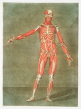 11342.Decor Poster.Home room Wall art.1750 Medical anatomy.Medical history.Body - £12.94 GBP+