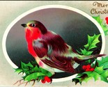 Merry Christmas Pettirosso Uccello Su Agrifoglio Ramo Goffrato Unp Vtg C... - $8.14