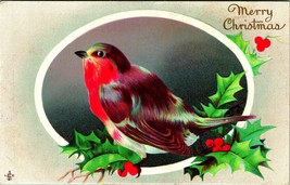 Merry Christmas Pettirosso Uccello Su Agrifoglio Ramo Goffrato Unp Vtg Cartolina - £6.38 GBP