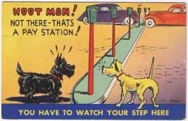Postcard Comic Hoot Man Not There That&#39;s A Pay Station Watch Your Step - £3.08 GBP