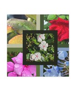 Modern Digital Art Print | 5 High-Quality Images for Download &quot;Dew Fresh... - $219.28 MXN