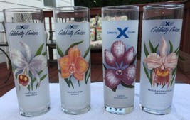 4 Celebrity Cruises Glasses Flowers Orchids Barware Tall Ice Tea Highball Frosted - £18.02 GBP