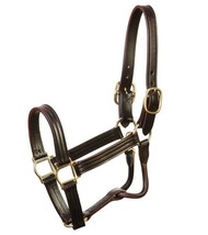 Jacks 9700-H Kentucky Leather Halter - Horse - $120.63
