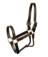 Jacks 9700-H Kentucky Leather Halter - Horse - £94.31 GBP