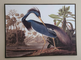 NEW! Audubon Blue Heron print on canvas, framed  41&quot; x 31&quot; - £64.66 GBP