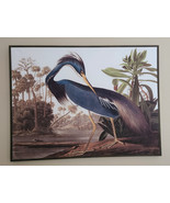 NEW! Audubon Blue Heron print on canvas, framed  41&quot; x 31&quot; - £64.40 GBP