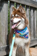 Sea Turtle Swim Dog Bandana - Island Vibes Unleashed Collection - £17.91 GBP