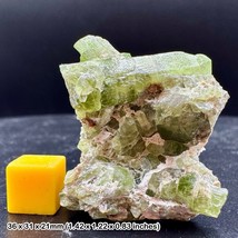 Grade A Peridot Crystal, Sipat Valley, Mansehra, Pakistan - 100% Genuine + COA - $73.61