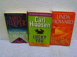 Lot of 3 Suspense Paperback Books, Below the Surface, Lucky You and Burn... - £7.26 GBP