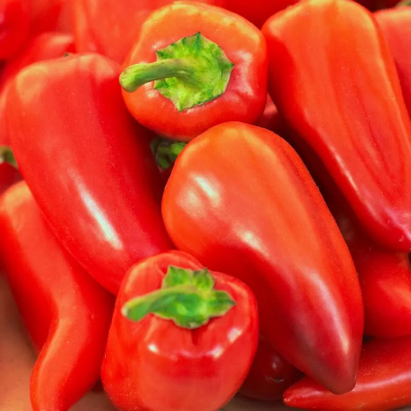 30 PIMENTO / PIMIENTO SWEET PEPPER SEEDS FRESH FOR GARDENS - $2.89