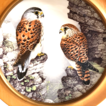 Haviland Limoges France Collector Plate Old World Kestrel Bird Crafted For FP - £33.08 GBP