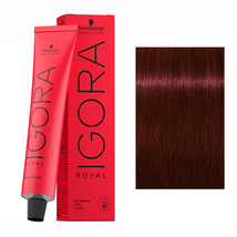 Schwarzkopf IGORA ROYAL Hair Color - IGORA ROYAL 4-88 Medium Brown Red Extra