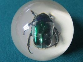GOVEHOUSE Small Crystal Clear Paperweight Beetle Made in Canada - $35.27