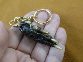 (G120-32) KEYCHAIN GATOR Aligator ALLIGATOR Claw foot key I love gators ... - $9.99