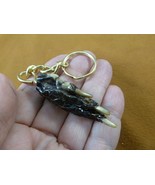 (G120-32) KEYCHAIN GATOR Aligator ALLIGATOR Claw foot key I love gators ... - €8,58 EUR (G120-32) KEYCHAIN GATOR Aligator ALLIGATOR Claw foot key I love gators ... - €8,58 EUR