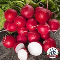 Cherry Belle Radish - Organic, Heirloom Seeds - Most Popular Ever This I... - $8.98