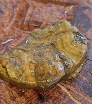 Crowleys Ridge Agate Rough Crazy Fortification Lines 190grams - $11.30