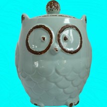 Owl Cookie Jar Canister Turquoise Blue Ceramic Cottage Core Farmhouse 8&quot; tall - £18.68 GBP