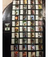 Magic The Gathering Elf Deck 60 Card Green Mono Starter MTG Pauper Buff ... - $15.66