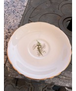 Paragon Fine Bone China Lily Of The Valley Saucer Replacement A1940 Marking - $272.68 MXN