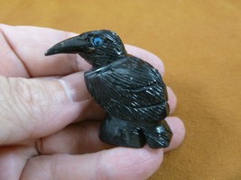 (Y-BIR-RA-108) BLACK RAVEN CROW Onyx carving PERU figurine gem bird Noir... - £11.02 GBP