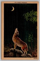 Desert Troubadour Beautiful Howling Coyote Under Crescent Moon Postcard B42 - £7.80 GBP