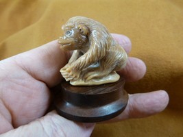 (tb-mon-5) tan Gorilla Tagua NUT palm figurine Bali detailed carving ape... - $43.47