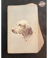Whitman Complete Deck Of Playing Cards Hunting Dog Spaniel Vintage - $16.00