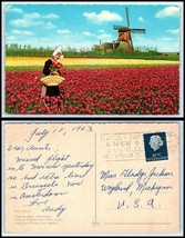 NETHERLANDS Postcard - Land Of Flowers &amp; Wind Mills GG41 - $2.84
