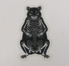 Animal X-Ray Transparent Sticker 2.38&quot; x 1.25&quot; (AU) - $1.64