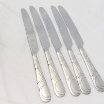 Pfaltzgraff Garland Frost Dinner Knives 9 1/2&quot; Stainless Lot of 5 - $11.75