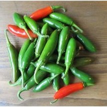 Best SELLER USA 10 Seeds Tam Serrano Hidalgo Hot Pepper Seeds - £4.29 GBP