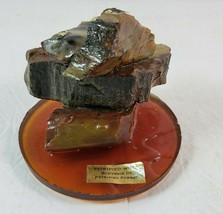 Vintage Petrified Wood Souvenir of Petrified Forest Paperweight Desk Display - £19.77 GBP