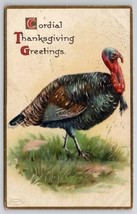 Cordial Thanksgiving Greetings Turkey Postcard K29 - $4.95