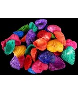 sea shell Dyed medium white Arks nice assorted colors craft lot of 20 - £4.42 GBP