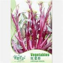 Red Chinese Cabbage Seeds  nutrient-rich balcony vegetable seeds IWSC106S  - $10.00