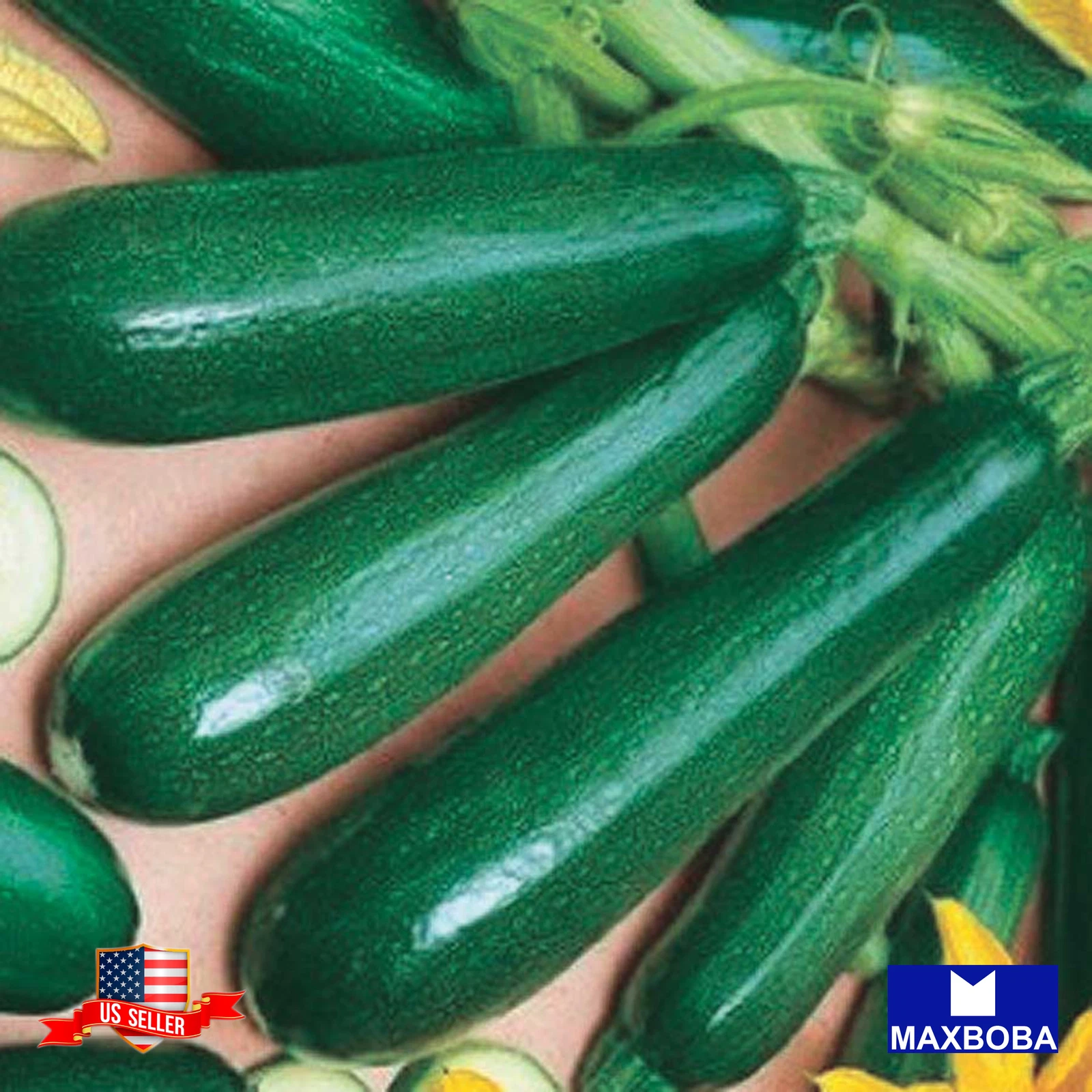 20 Dark Green Zucchini Seeds Organic Non-GMO Heirloom BTGO 75% OFF - $11.01