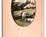 Easter Greetings w Applique Lambs In Pasture UNP Unused DB Postcard W21 - $4.90