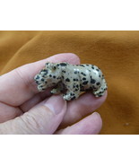 (Y-PANT-581) spotted Jasper PANTHER stone LEOPARD big wild cat GEMSTONE ... - $266.28 MXN